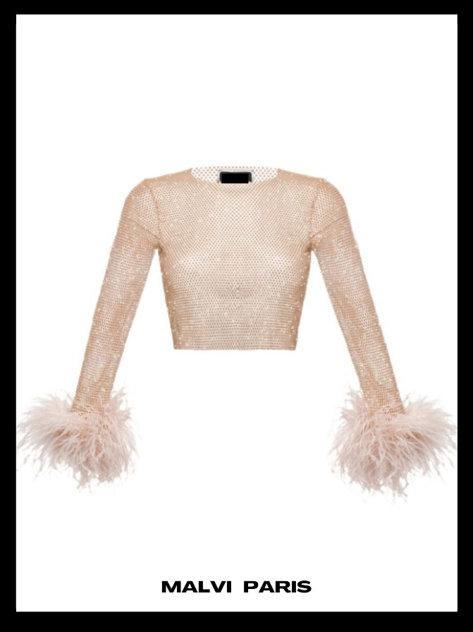 ALICIA RHINESTONE  EMBELLISHED CROP TOP FEATHERS LONG SLEEVES  - Blush  Pink / Beige